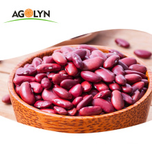 AGOLYN New Crop South Africa Kenya Dark Red Kidney Beans